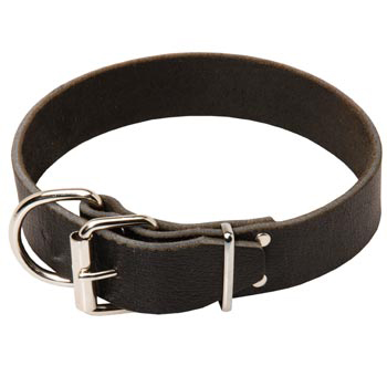 English Pointer Leather Collar