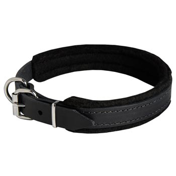 Padded Leather English Pointer Collar Adjustable