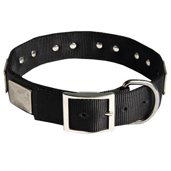 Designer Nylon Dog Collar Wide with Easy Release Buckle for   English Pointer