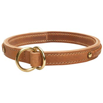  2 Ply Leather Choke Collar for English Pointer