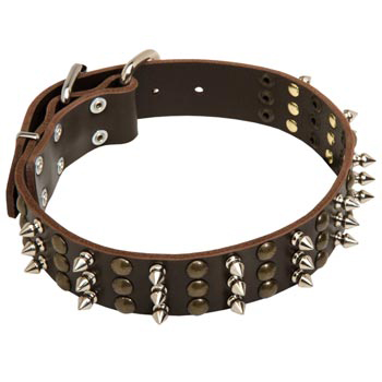 English Pointer Handmade Leather Collar 3  Studs and Spikes Rows