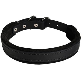 English Pointer Collar Leather for Dog Protection Attack Training
