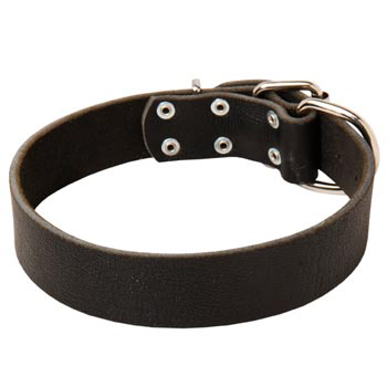 Unbelievable English Pointer Strict Style Leather Dog  Collar
