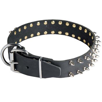 Spiked Leather Dog Collar for English Pointer Fashion Walking
