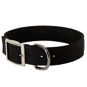 Nylon English Pointer Collar with Adjustable Steel Nickel Plated Buckle