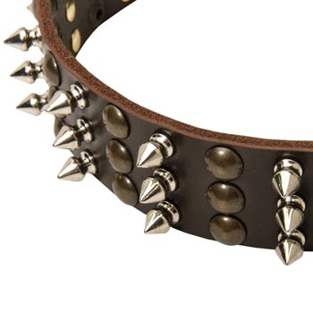 3 Rows of Spikes and Studs Decorative English Pointer  Leather Collar