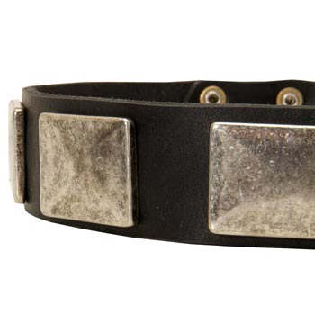 Wide Leather English Pointer Collar for Walking