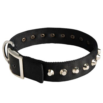 Nylon Buckle Dog Collar Wide with Studs for   English Pointer
