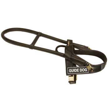 English Pointer Guide Harness Leather for Dog Assistance