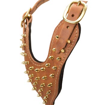 Brass Spiked Leather English Pointer Harness