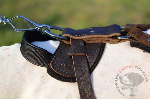 Leather English Pointer Harness Back Part with Handle