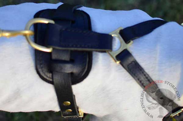 Leather English Pointer Harness Back Part with Ring