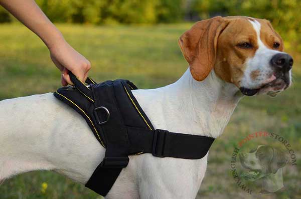 Multifunctional Nylon English Pointer Harness with Strong Handle