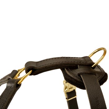 Corrosion Resistant D-ring of English Pointer Harness