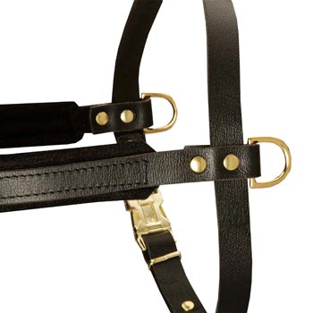 Training Pulling English Pointer Harness with Sewn-In Side D-Rings