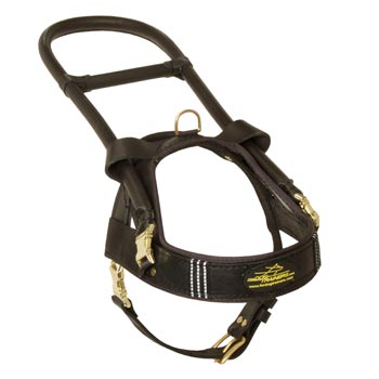 English Pointer Leather Guide Harness with ID Patches