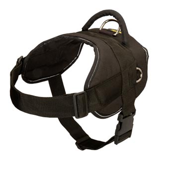 English Pointer Harness Nylon Multifunctional with Control Handle
