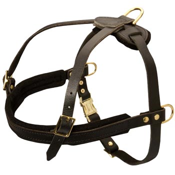 Leather English Pointer Harness for Dog Off Leash Training