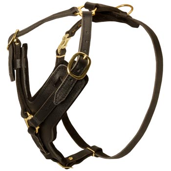 Comfortable Y-Shaped Leather Harness for English Pointer Attack  Training