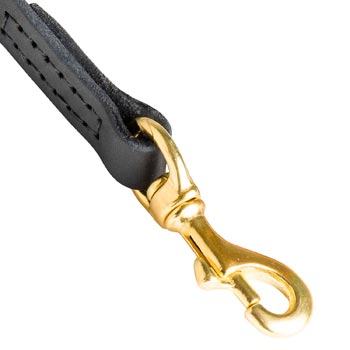 English Pointer Leather Leash with Massive Gold-like Snap Hook