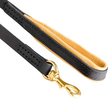 Leather Leash for English Pointer with Nappa Padding on Handle