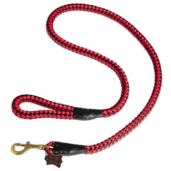 English Pointer Red Nylon Leash for Walking and Training