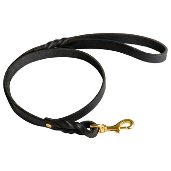 Best Training English Pointer Leash with Braided Details on Opposite Sides