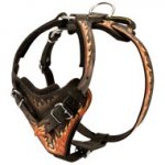 Handpainted in Flames Leather English Pointer Harness for Agitation Training