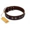 "King Arthur" FDT Artisan Brown Leather English Pointer Collar with Spiky Plates