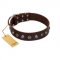 "Dark Chocolate" Handmade FDT Artisan Brown Leather English Pointer Collar with Studs