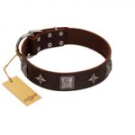 "Cold Star" Designer FDT Artisan Brown Leather English Pointer Collar with Silver-Like Adornments
