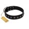 "Immense Power" Handcrafted FDT Artisan Black Leather English Pointer Collar with Small Dotted Pyramids