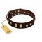 "Lord of Dogs" FDT Artisan Brown Leather English Pointer Collar with Old Bronze-like Dotted Studs and Tiles