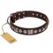 "Pierian spring" FDT Artisan Brown Leather English Pointer Collar with Silvery Decorations