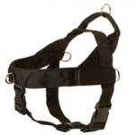 Nylon English Pointer Harness with Patches
