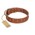 "Enchanted Skulls" FDT Artisan Tan Leather English Pointer Collar with Chrome Plated Skulls