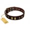 "Blinking Illusion" FDT Artisan Brown Leather English Pointer Collar with Old Bronze-like Studs and Plates