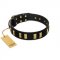 "Glorious Night" FDT Artisan Decorated Black Leather English Pointer Collar