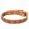 Leather English Pointer Collar with Brass Half-Ball Studs