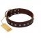 "Kingly Grace" FDT Artisan Brown Leather English Pointer Collar with Silver-like Dotted Studs