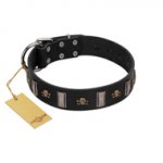 "Pirates' Symbol" Fashionable FDT Artisan Black Leather English Pointer Collar with Silver-Like Plates and Gold-Like Skulls