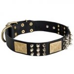 Spiked Leather English Pointer Collar with Plates and Cones