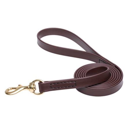 Brown Waterproof English Pointer Leash Made of Biothane