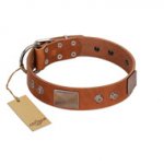 "Great Obelisk" Handcrafted FDT Artisan Tan Leather English Pointer Collar with Large Plates and Pyramids