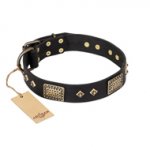 "Jewel Passion" FDT Artisan Fashionable Black Leather English Pointer Collar