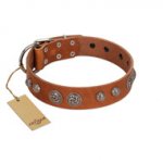 "Era Infinitum" FDT Artisan Tan Leather English Pointer Collar Adorned with Chrome-plated Circles