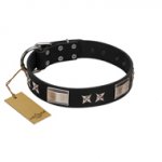 "Pitch Dark" FDT Artisan Black Leather English Pointer Collar with Stars and Plates