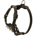 Durable Spiked Leather Puppy English Pointer Harness