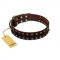 "To the Moon and Back" FDT Artisan Brown Leather English Pointer Collar with Bronze-like Star Studs