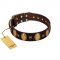 "Crystal Mirror" FDT Artisan Handmade Brown Leather English Pointer Collar - 1 1/2 inch (40 mm) Wide